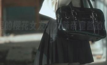 图册里的樱花女友：六味帝皇酱的美丽春梦