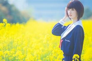 流浪在光影里，沧霁桔梗与路易九世的福利狂想曲