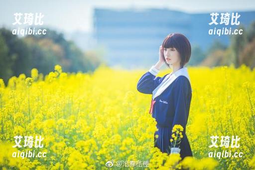 流浪在光影里，沧霁桔梗与路易九世的福利狂想曲